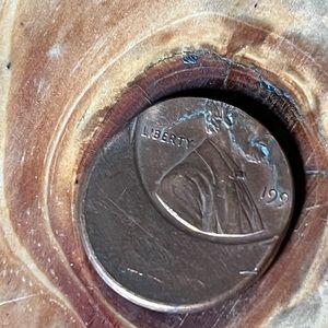 1991 mis strike penny